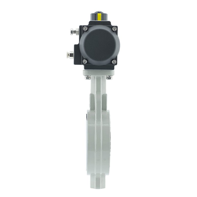 Anti-Corrosion Pneumatic Butterfly Valve