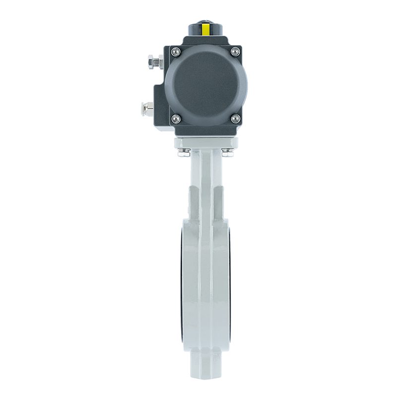 Anti-Corrosion Pneumatic Butterfly Valve